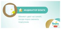 Pampers Premium Care трусики 6 (16+ кг) 19 шт.