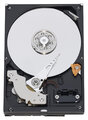 Жесткий диск Western Digital WD6400AACS 640Gb IntelliPower SATAII 3.5" HDD