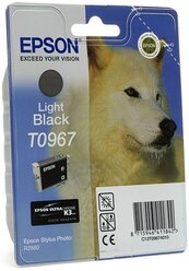 Картридж Epson C13T09674010