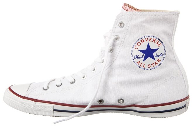 chuck taylor all star fancy