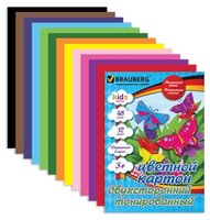 Цветной картон тонированный в массе, Kids Series BRAUBERG, A4, 48 л., 12 цв.