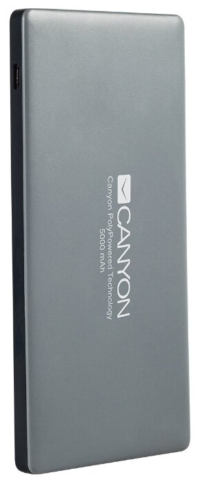 Аккумулятор Canyon CNS-TPBP5 темно-серый