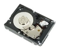 Для серверов Dell Жесткий диск Dell 400-ACRS 1Tb 7200 SATAII 3.5