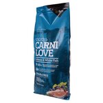 Корм для собак Carnilove Carnilove Salmon & White fish for adult dogs (12 кг) - изображение