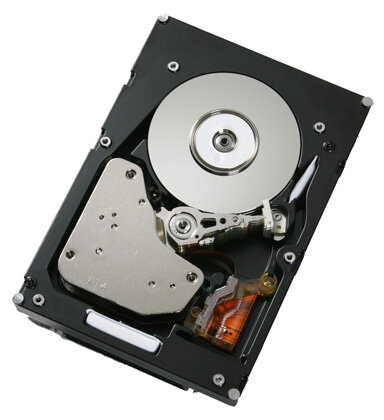 Жесткий диск Hitachi FC 300Gb (U2048/10K/8Mb/40pin) HUS103030FLF210