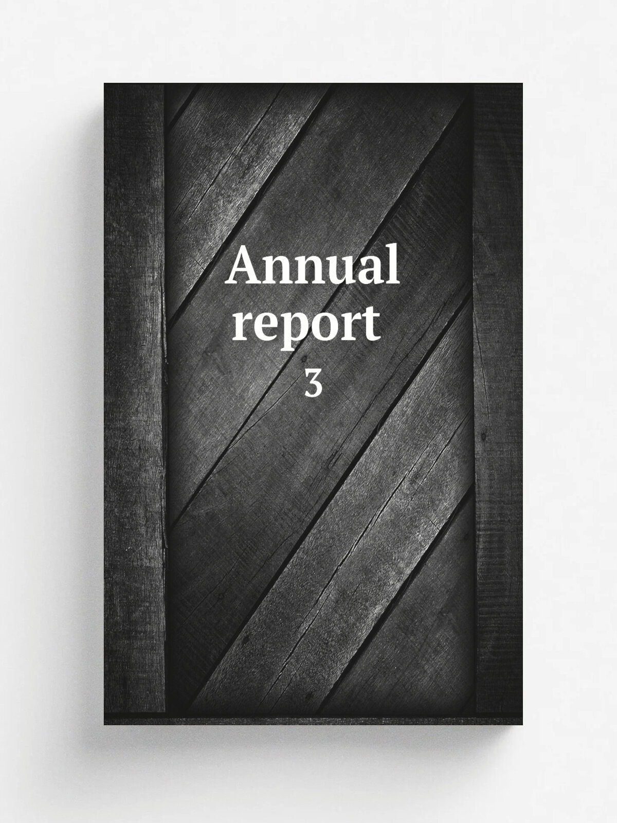 Annual report . 3 | 1905 | Hackensack, N.J. | Репринт