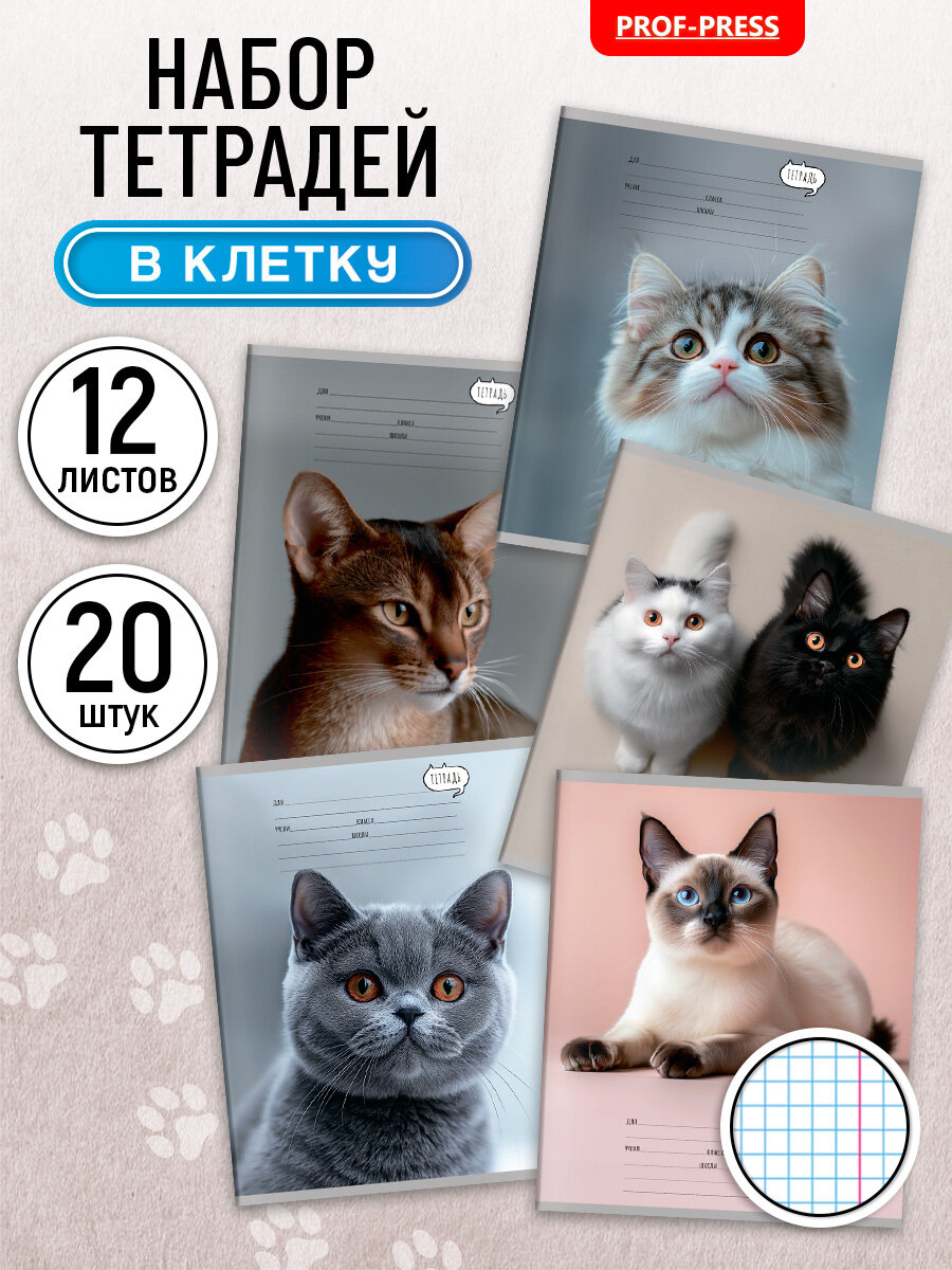 Тетрадь в клетку 12 листов Prof-Press, 20 штук
