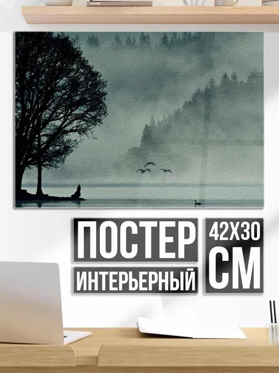 Плакат постер туманное озеро