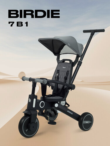 Изображение товара Детский складной трехколесный велосипед с родительской ручкой Rant Birdie Grey