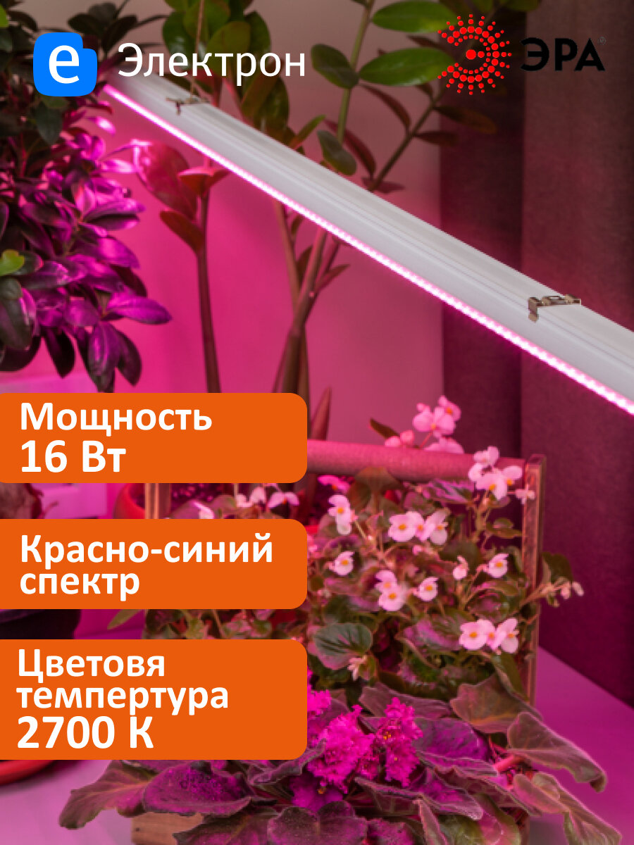 Светильник для растений, фитолампа светодиодная линейная ЭРА FITO 16 Вт Т5 красно-синего спектра Б0045233