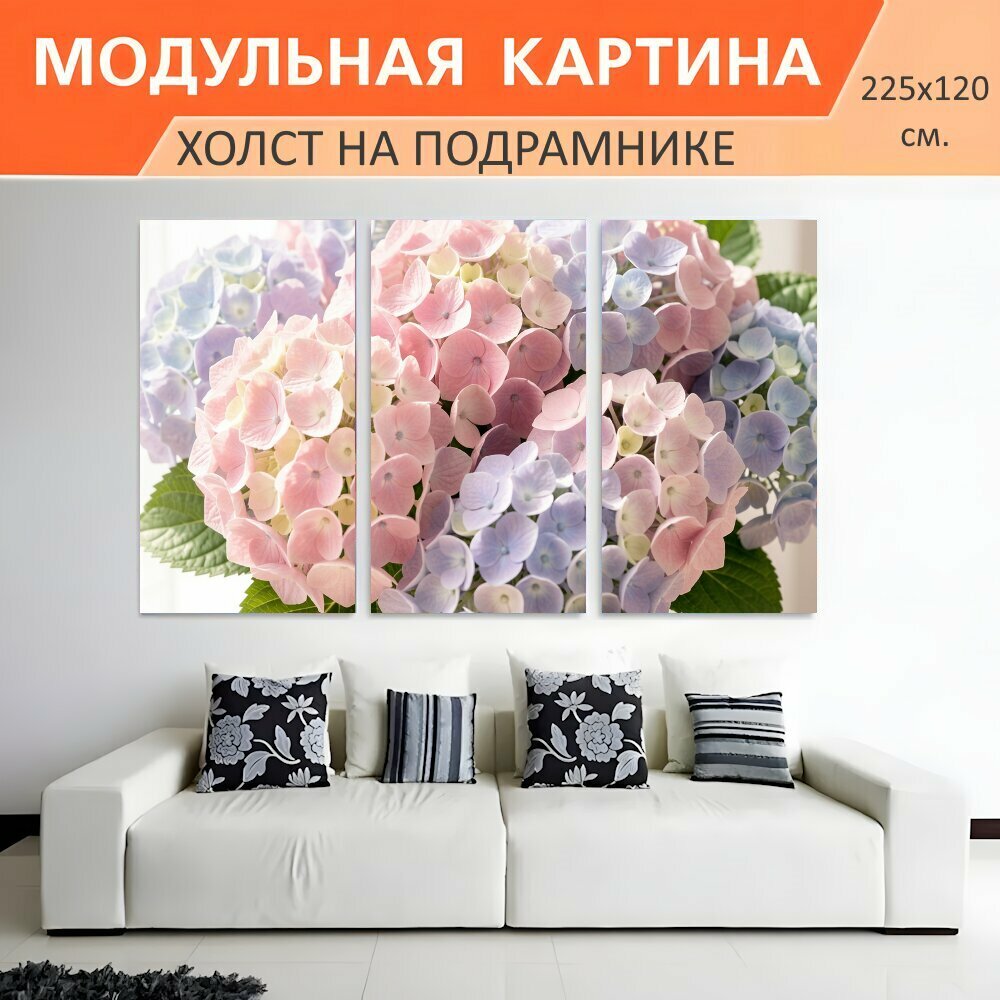 Модульная картина на холсте "Нежные гортензии в пастельных тонах. Пышные соцветия гортензии в розовых, лиловых и голубых оттенках." триптих на подрамнике 225х120 см. для интерьера