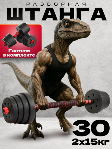 Изображение товара Штанга разборная 30 кг, регулируемая нагрузка, трансформируется в гантели 2 шт по 15 кг