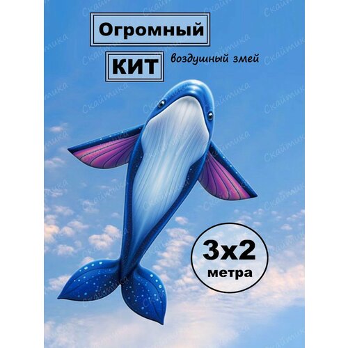 фото Воздушный змей "гигантский кит" 3х2м каркасный синий, с леером 100м, в тканевом чехле скайтика