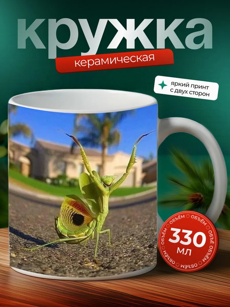 Кружка Богомол насекомое 18,