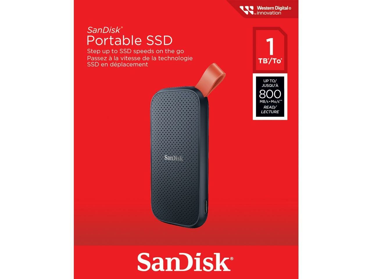 SanDisk Portable 800 МБ/сек серый