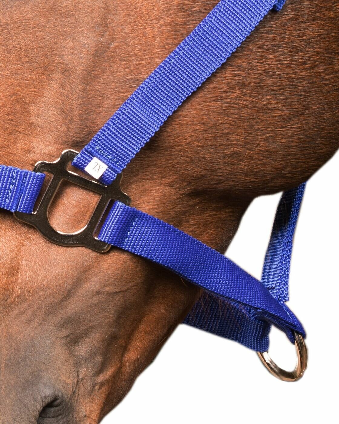 Sweethorse / Недоуздок для лошади и пони, синий, размер Extra-FULL — фото 1