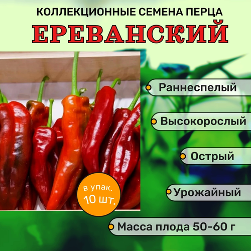 Коллекционные семена перца острого Ереванский