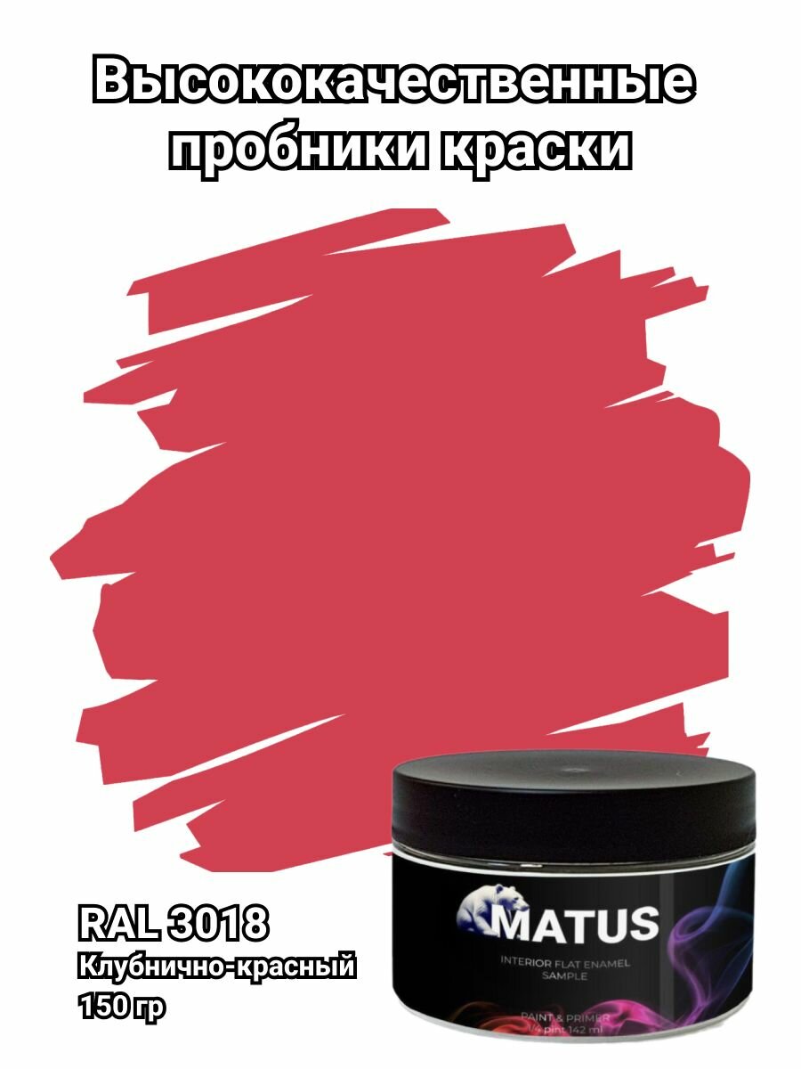 фото Пробник цвета краски Ral 9003