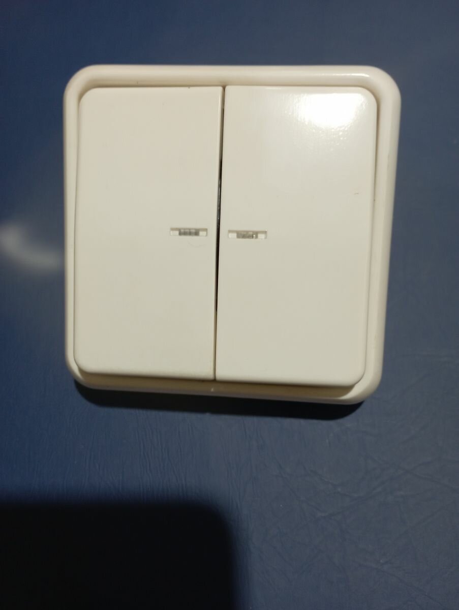 Выключатель 2-клавишный JUNG CD 500, с подсветкой, Белый, с рамкой