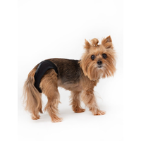 Трусы для собак трикотажные OSSO Fashion, р. M ( обхват талии 29-48), цвет чёрный