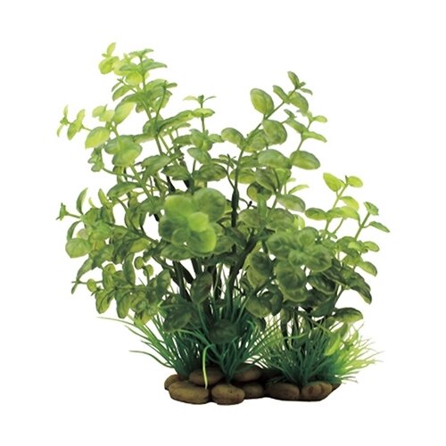Искусственное растение ArtUniq Кардамин 20 см 20 см зеленый искусственное растение artuniq бамбук зеленый в миксе растений 15 см 15 см зеленый
