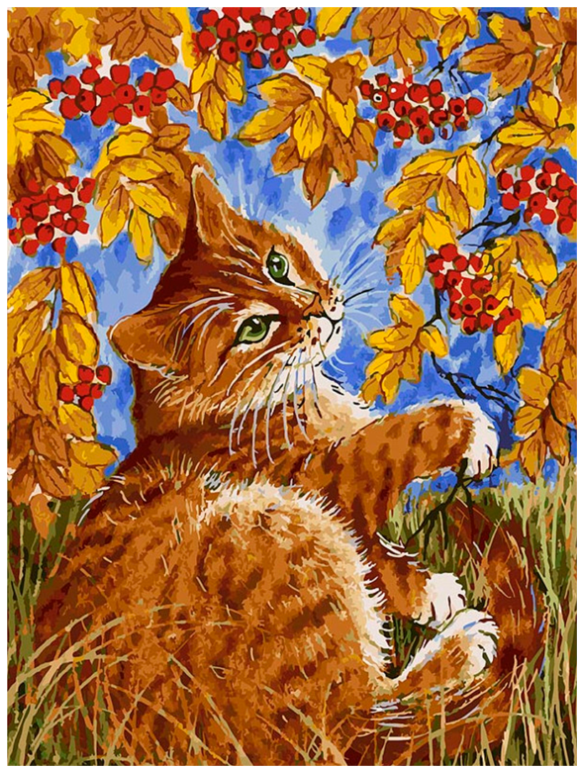 Картина по номерам Белоснежка "Кот с рябиной" / Раскраска / Холст на подрамнике 30х40 см. / Животные