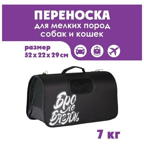 Сумка-переноска раскладная, каркасная «Бро не багаж» 52x22x29 см