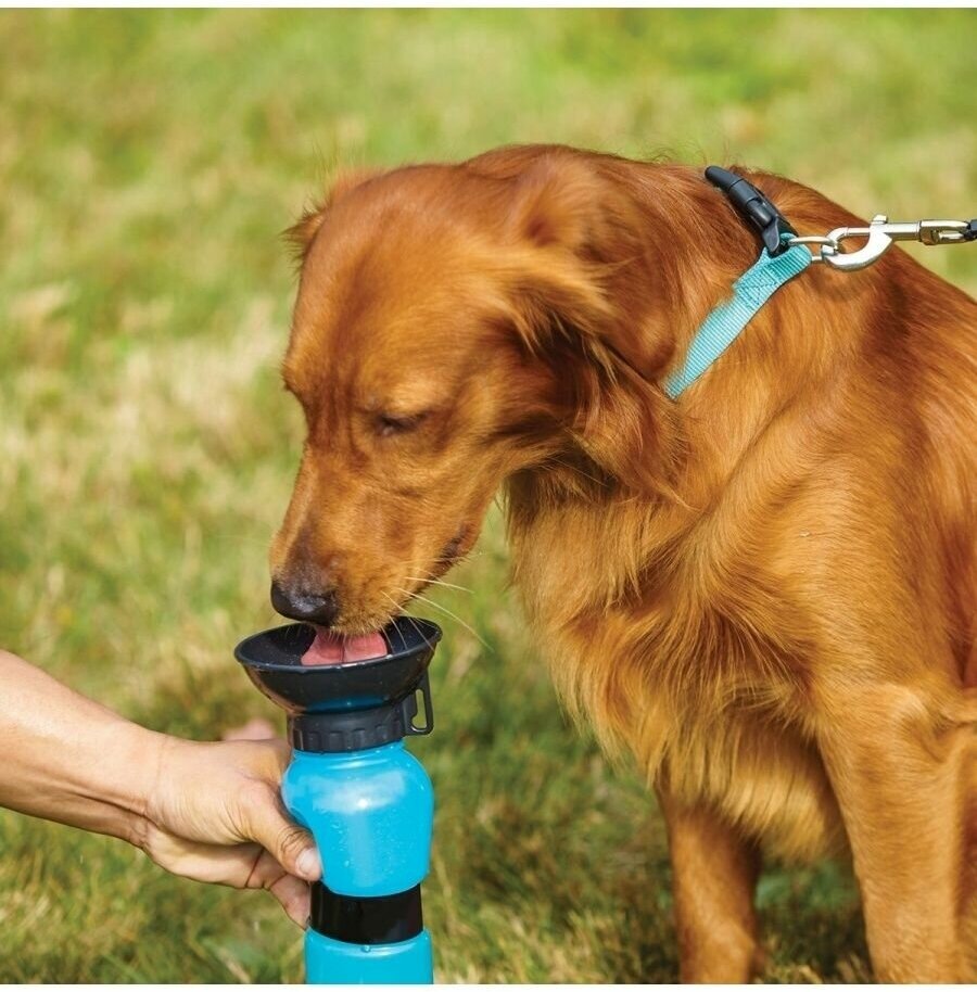 Походная поилка-бутылка для животных Aqua Dog