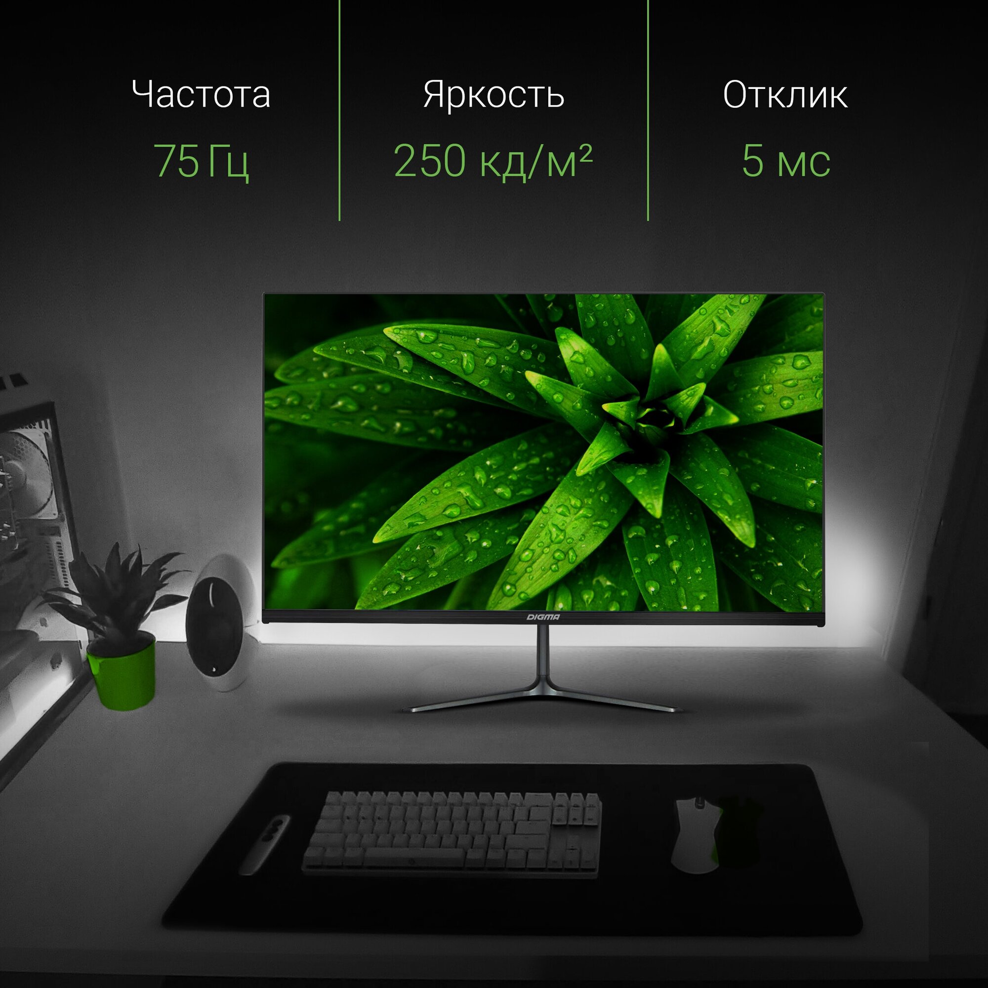 Монитор Digma DM-MONB2402, 23.8", IPS, 1920x1080, 75Гц, 5 мс, D-Sub, HDMI, чёрный - фотография № 10