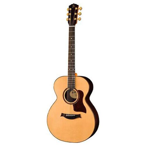 Акустическая гитара Raimundo MS301E