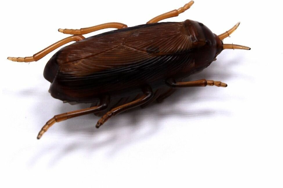 Интерактивный бегающий таракан нано жук