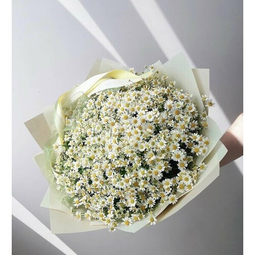 Букет Ромашек кустовых, красивый букет цветов, шикарный, цветы премиум.
