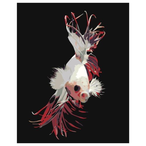белая рыбка с красными плавниками раскраска картина по номерам на холсте Белая рыбка с красными плавниками Раскраска картина по номерам на холсте