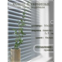 Жалюзи горизонтальные алюминиевые на пластиковые окна 50*120 см