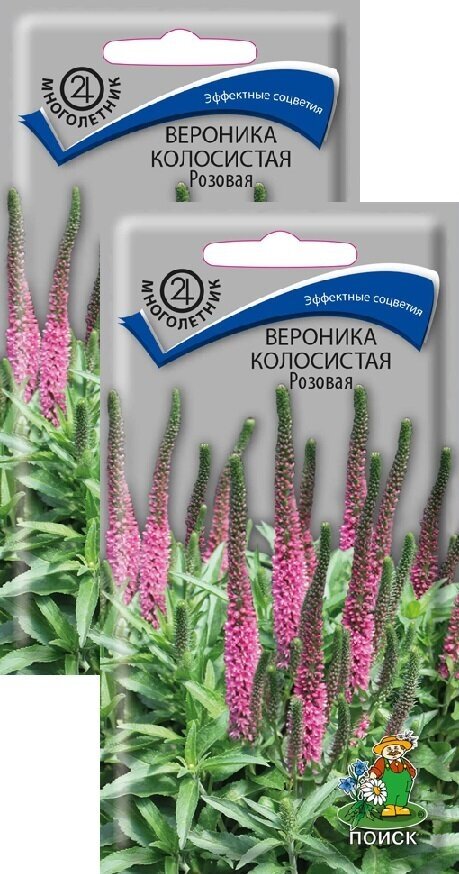 Вероника колосистая Розовая (0,1 г), 2 пакета