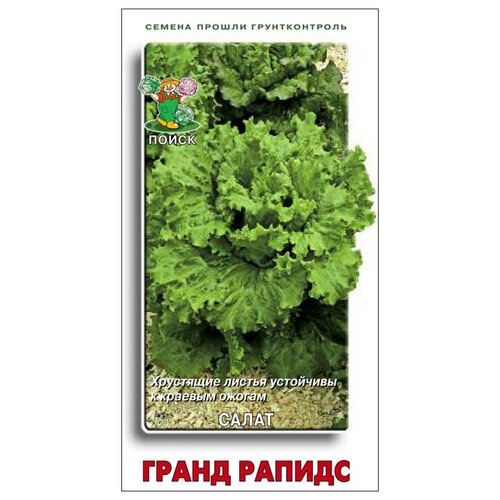 Семена Салат гранд рапидс 1г для дачи, сада, огорода, теплицы / рассады в домашних условиях семена салат тарзан 480шт для дачи сада огорода теплицы рассады в домашних условиях