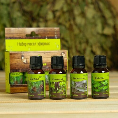 Набор эфирных масел Пихта Мята Сосна Эвкалипт косметический 4 шт по 15 мл 1шт 1112₽