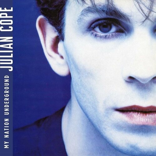 Виниловая пластинка JULIAN COPE - MY NATION UNDERGROUND julian cope julian cope my nation underground