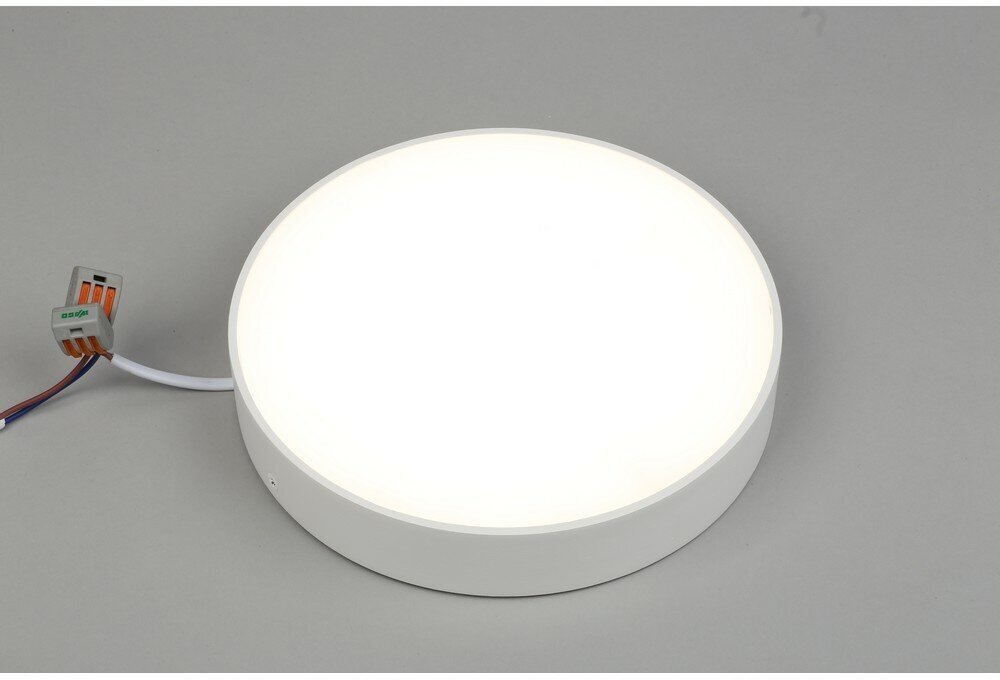 APL.0114.09.24 Светильник потолочный Aployt Evon — фото 1