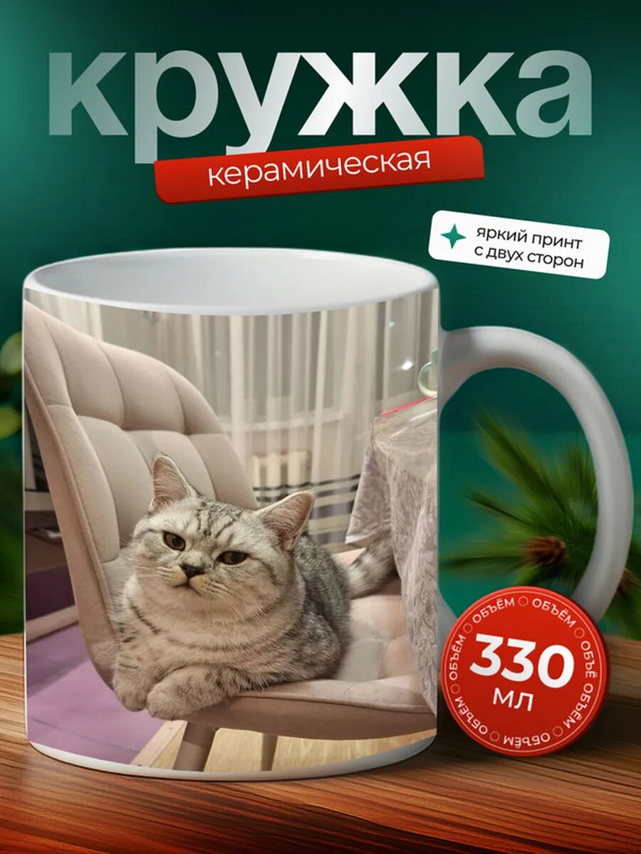 Кружка Шотландская вислоухая кошка 60,