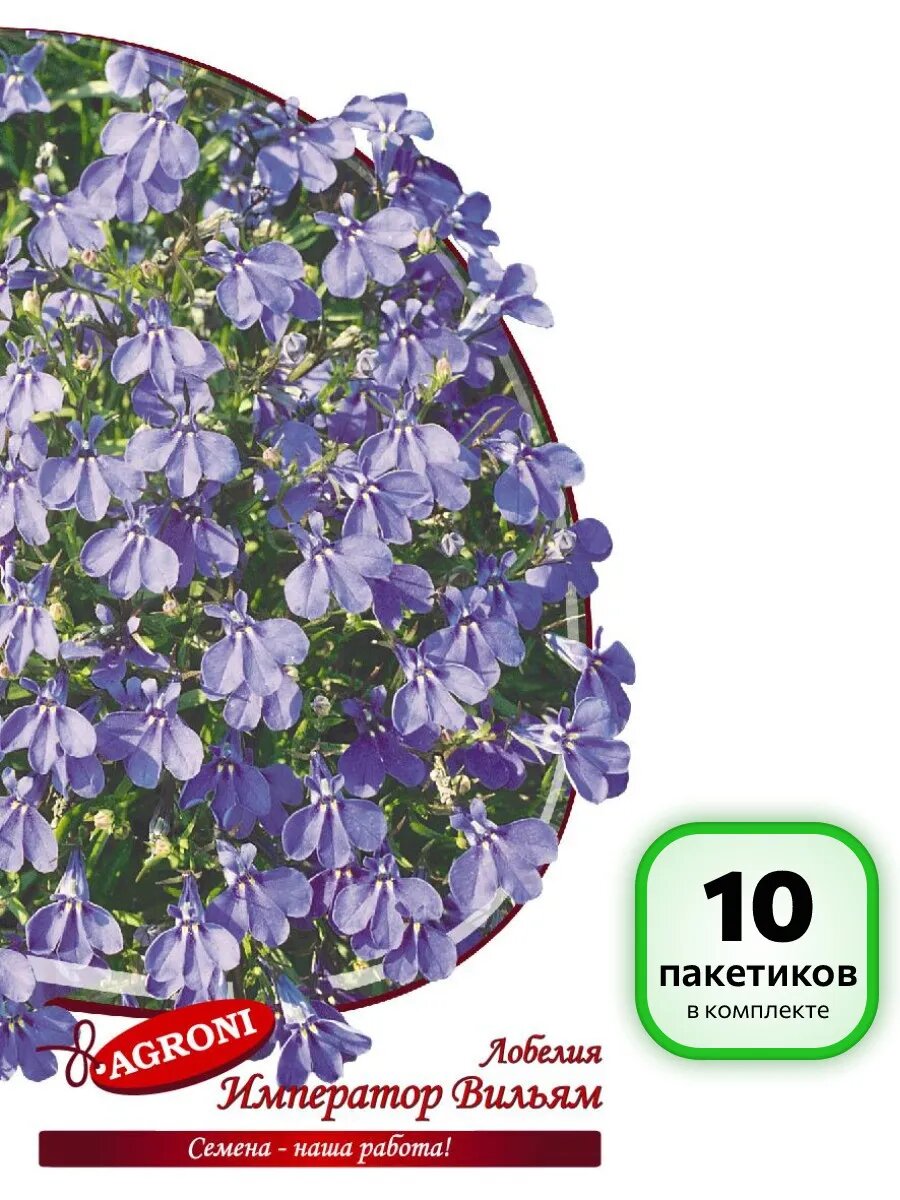 (10 шт.) - Семена Лобелия Император Вильям (0,1г)