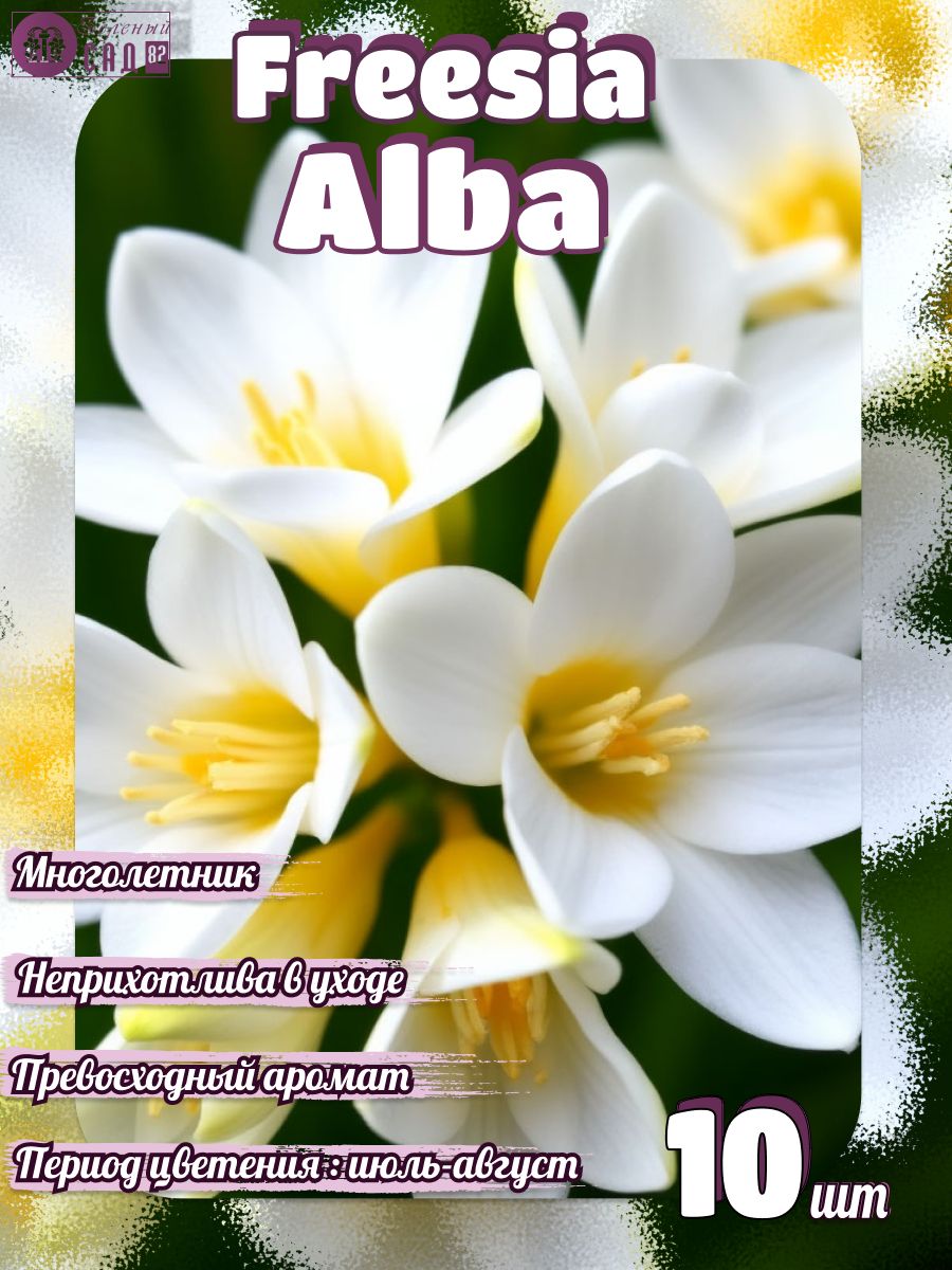 Фрезия Alba