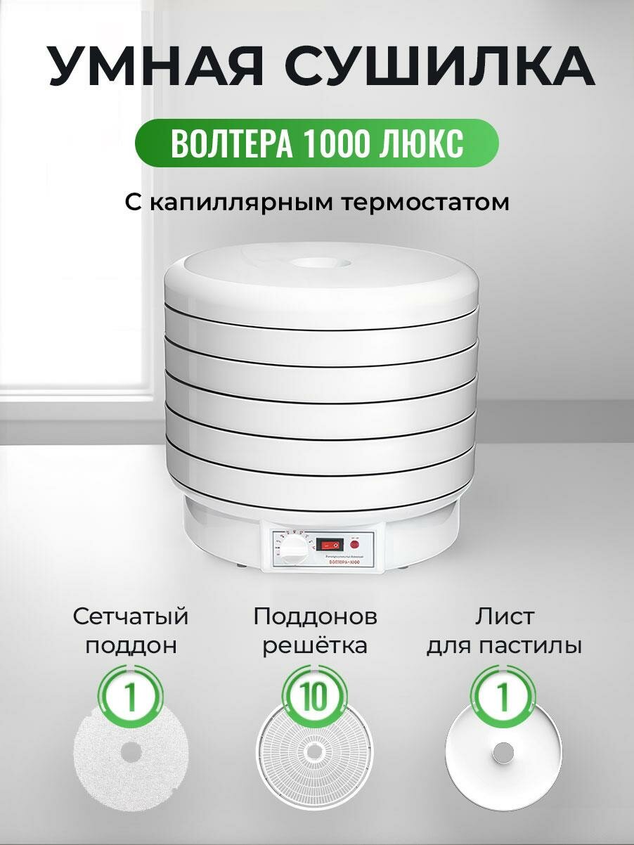 Сушилка волтера 1000 Люкс с термостатом. Комплект:10 поддонов+1 лист для пастилы+1 сетчатый лист