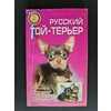 Фото Русский той-терьер