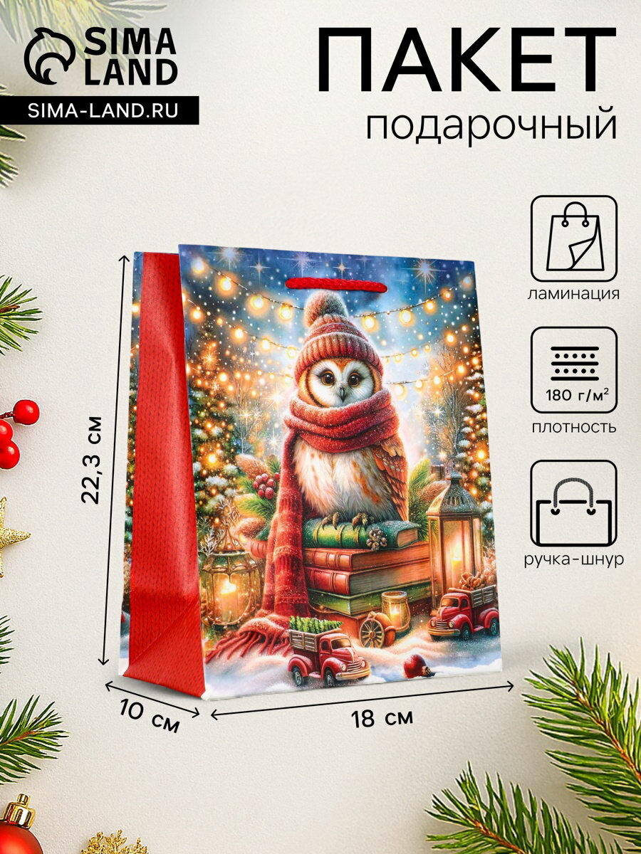 Пакет подарочный новогодний ламинированный, "Сова", 18x10x22.3 см, 2 шт.