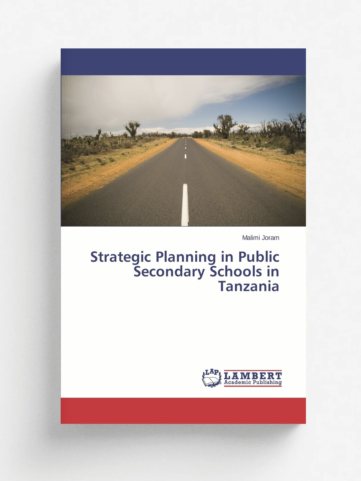 Strategic Planning in Public Secondary Schools in Tanzania