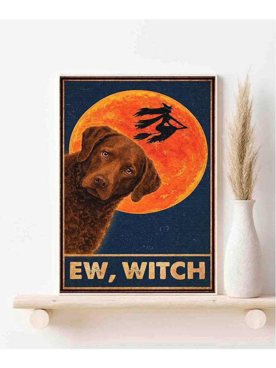 Чесапик-бей-ретривер, EW Witch, Плакат 30x42см