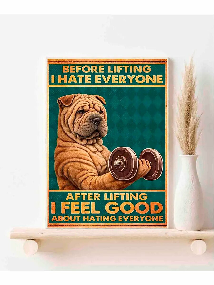 Китайский шарпей, Before After Lifting, Плакат 30x42см