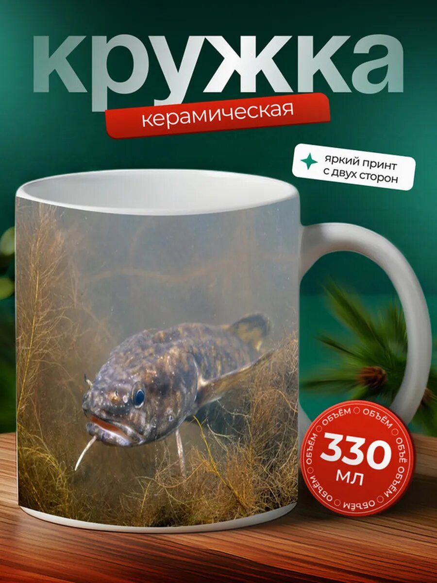 Кружка Налим рыба,