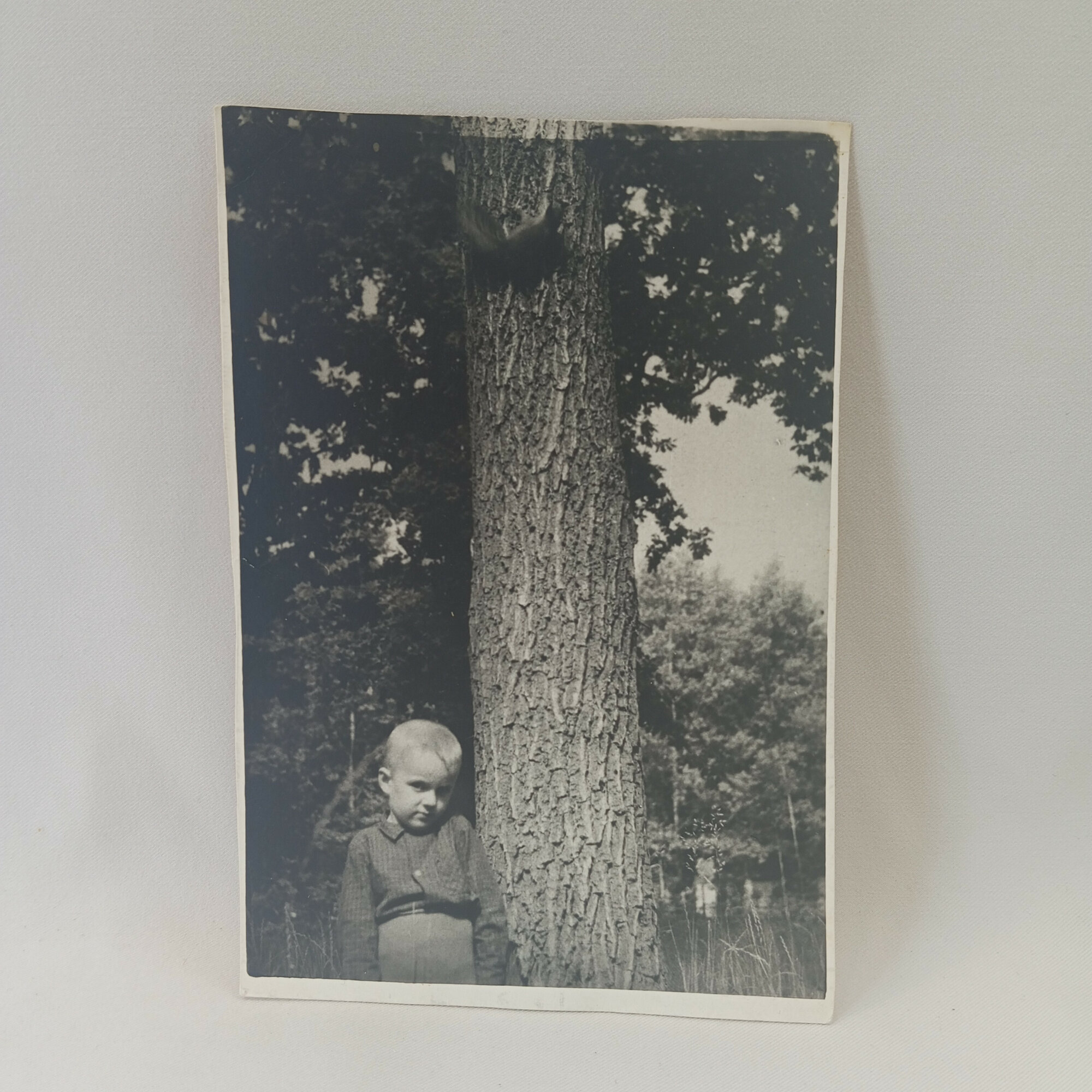 Фотография винтажная, СССР. Черно белый снимок с ребенком на природе, 1970 год, Киев